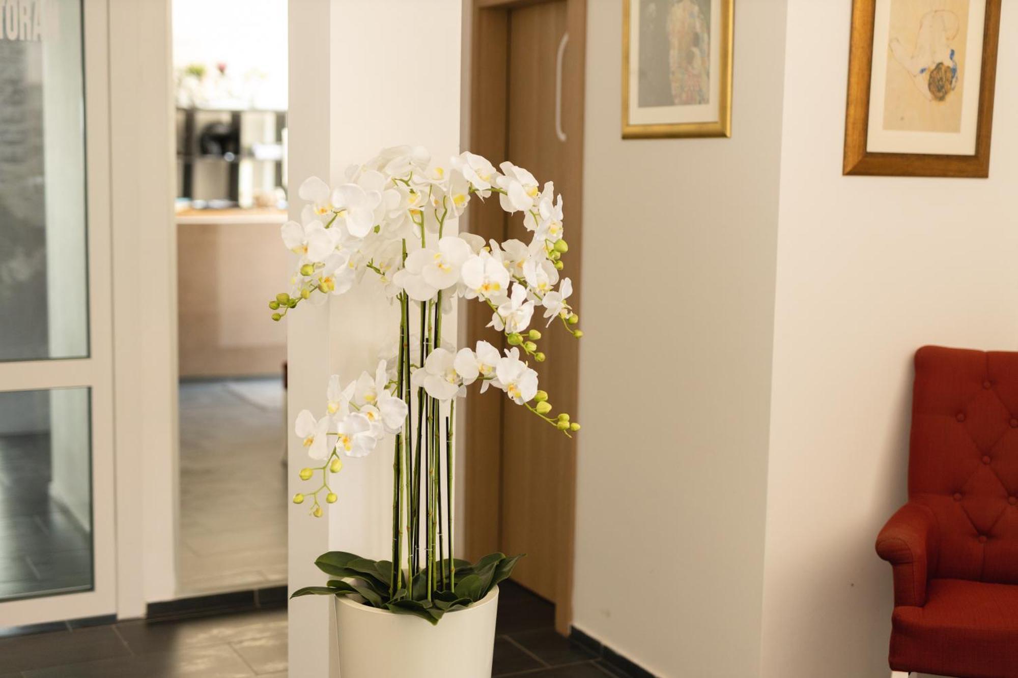 D8 B&B Zadar Zewnętrze zdjęcie